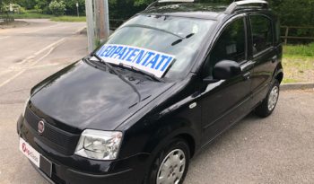 FIAT PANDA 1.2 Bz. Cv. 69 DINAMIC 5 PORTE pieno